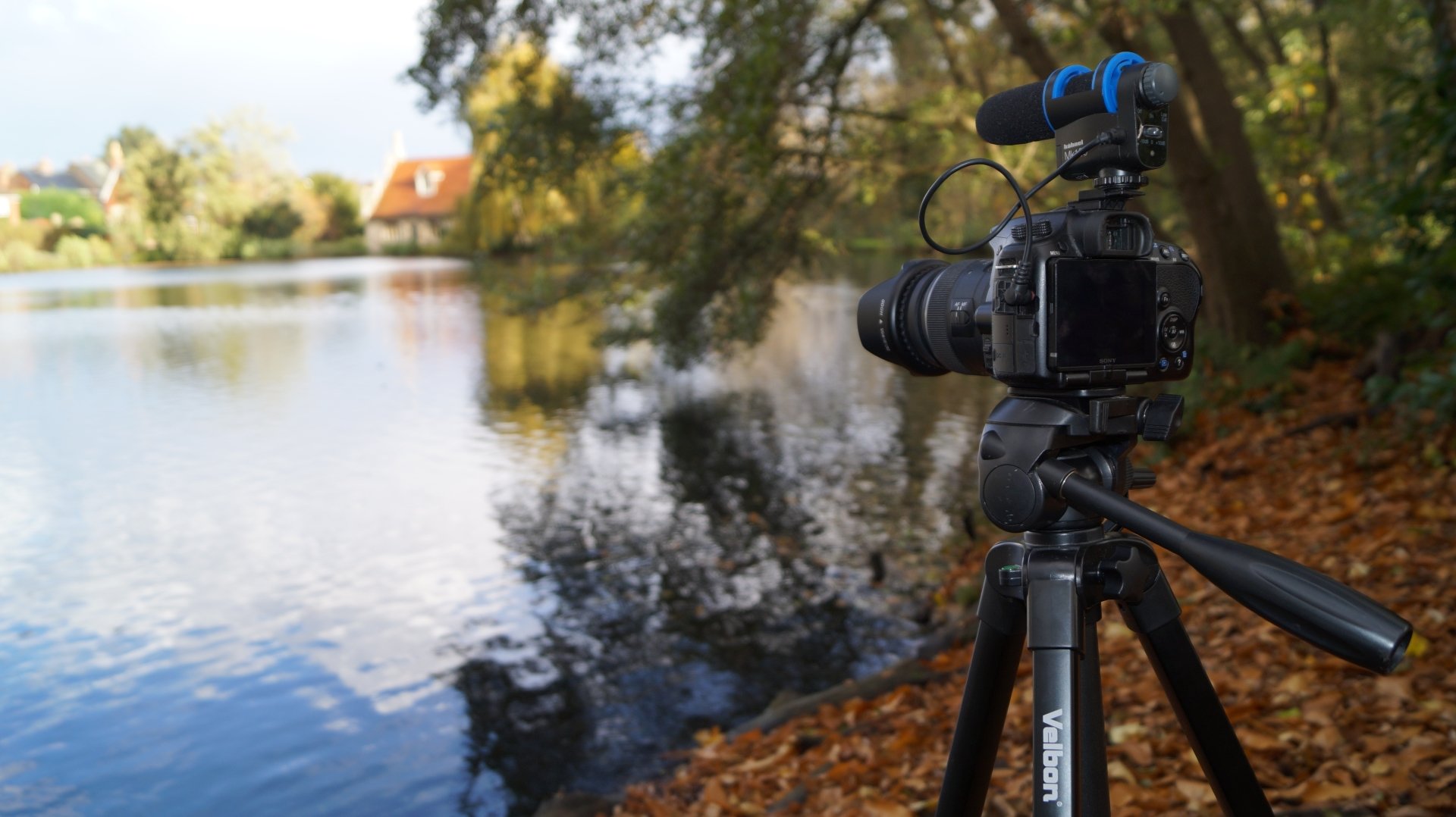 Видеокамеры для съемки природы