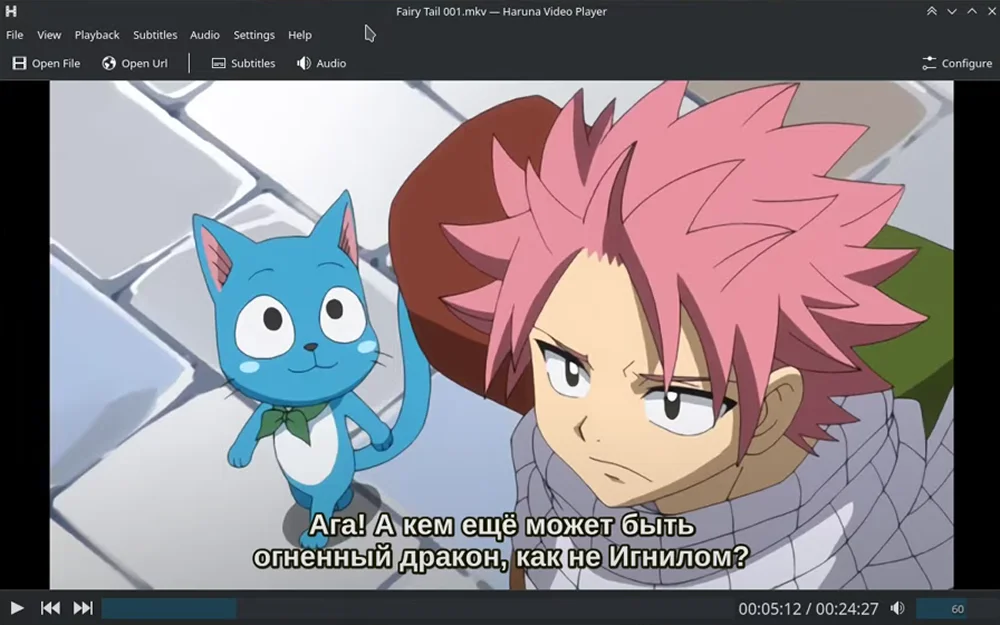 Haruna Media Player