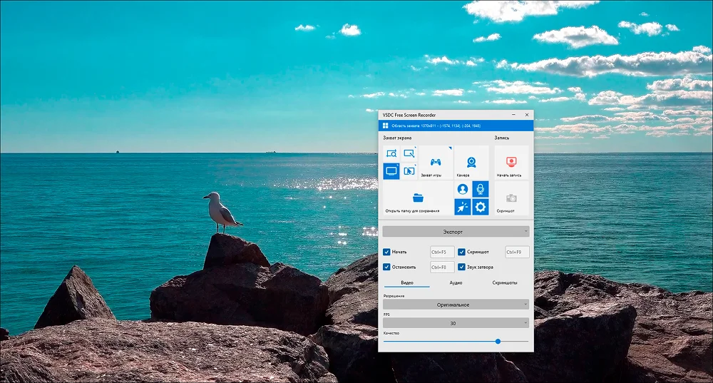 Интерфейс VSDC Free Screen Recorder
