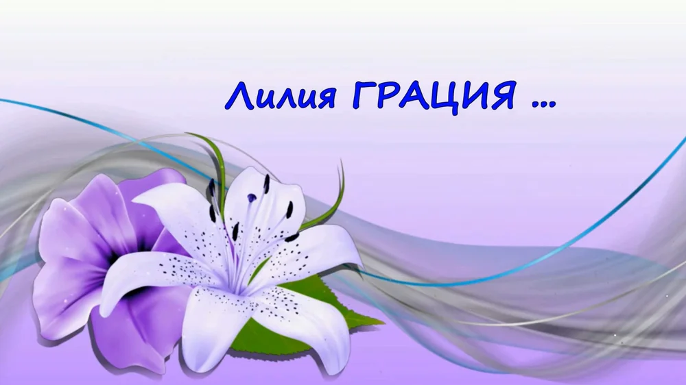 Превью видео