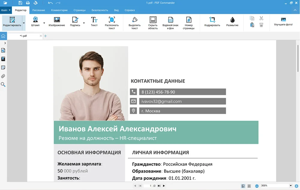 резюме в пдф