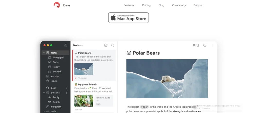 Интерфейс Bear