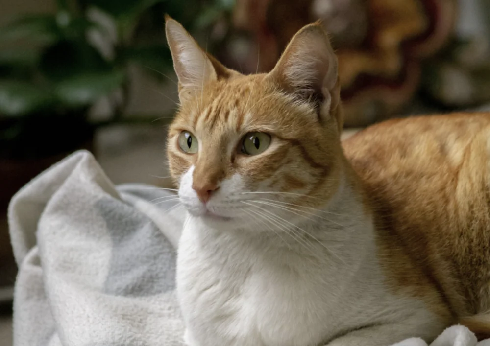 параметры резкости