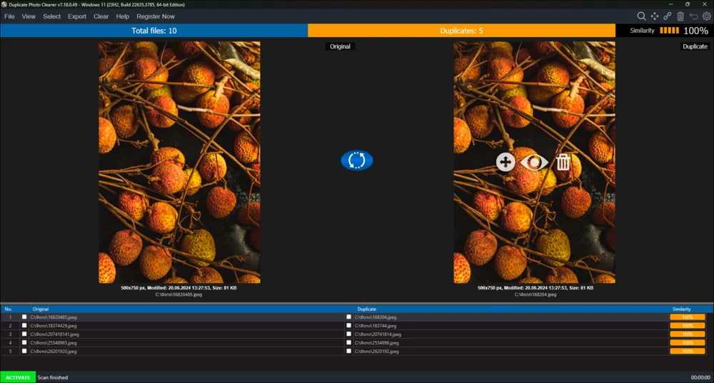 Интерфейс Duplicate Photo Cleaner